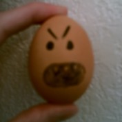 eatfiftyeggs profile image