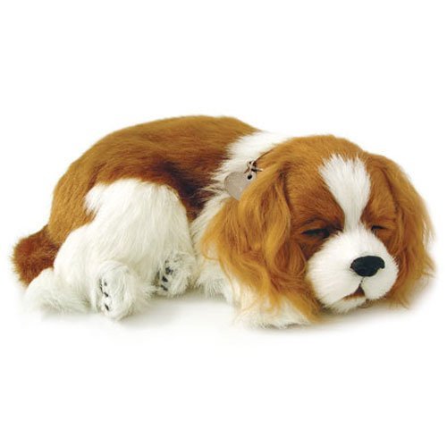 Perfect Petzz from http://dormbuys.com/