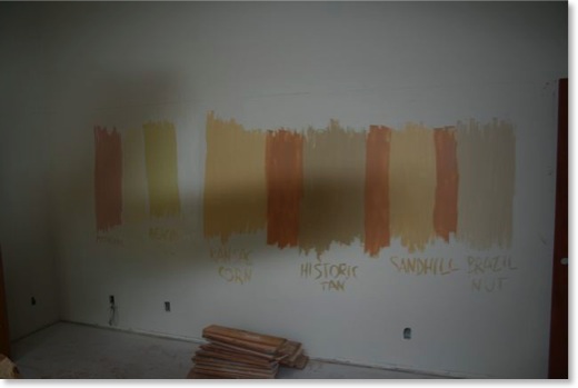feel free to paint the samples directly on the wall - better if your wall is currently white