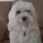 SUSIE DUZY profile image
