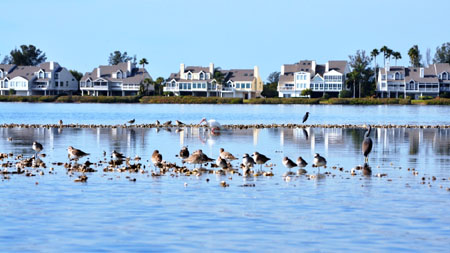 Tidy Island, from the water
