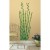 Bamboo Bamboo