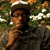 harlemsapollo profile image