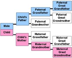 Photo Courtesy of Big Genealogy You can see the father's line coming down to his sons and his heritage.
