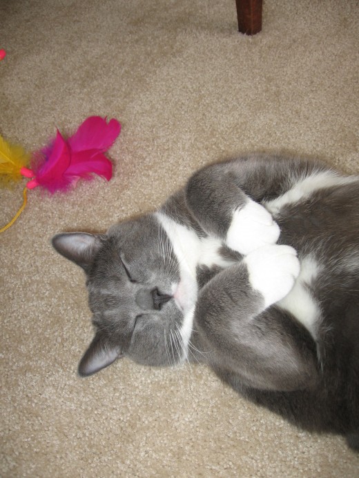 Now I lay me down to sleep...=)