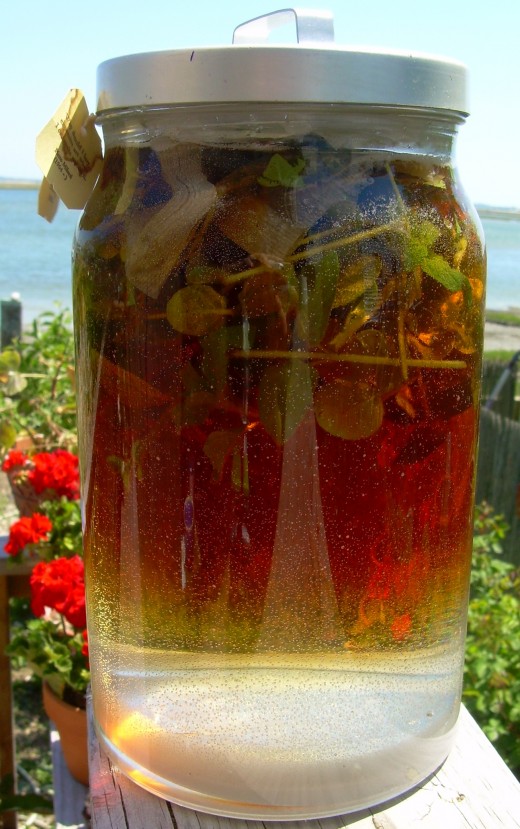 sun tea set out to "brew" in the sun at my friend Fran's house