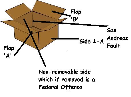 The cardboard box and how to fold it.