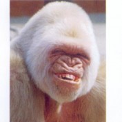 Dalen profile image