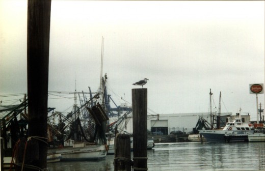 These are very moody looking views of the harbour