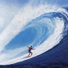 flash surfer profile image