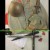 Japanese WW2 helmet Japanese WW2 helmet