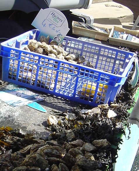 Oysters fresh from Le bassin de Marennes Olron