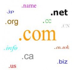 Domain Names Registration