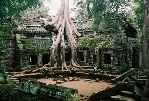 Ta Prohm , Angkor, Cambodia