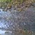 Water off the deck. Water off the deck.