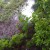 Another flower bed with water. Another flower bed with water.