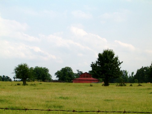 Off in the distance, I love to see an old red barn! Or a new one for that matter! 