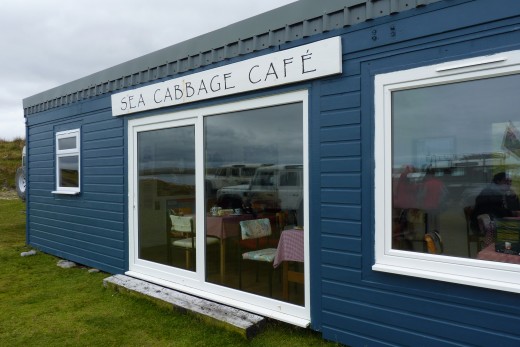 Sea Cabbage Cafe at the Bluff Cove Penguin Colony