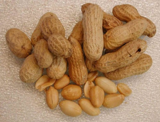 Peanuts are a great source of protein!