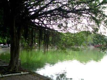 Taking a walk around this lake early in the morning can be a relaxing experience.