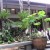 Rumah Mode garden http://blog.malaysia-asia.my