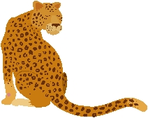 Long-tail SEO