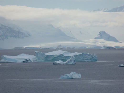 Paradise Bay with many icebergs