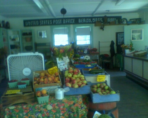 Bins of the fresh fruit and vegetables sold at Indian Head Farm