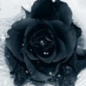 AutismInsideOut profile image