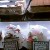 Silveks Authentic Bakery