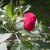 copyright 2010 copyright 2010
