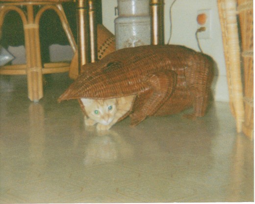 this was a wicker frog that he would tip over and hide inside of it.  He would jump out at you foot as you walked by