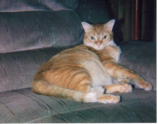 growing older and fatter