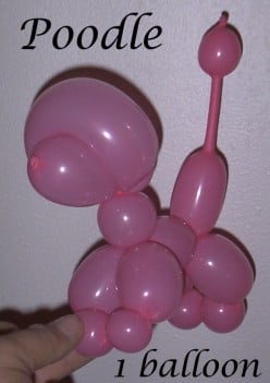 How to make a Balloon Poodle