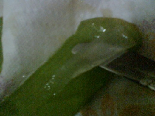 aloe vera juice