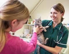 Getting the Best Emergency Care for Your Family Pet