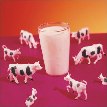 Milk recall 2010
