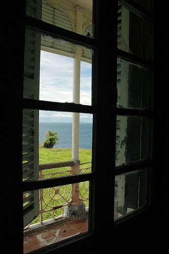 This is not what I was looking at outside the window that day that I ate something which gave me flashbacks. But I would have love this scene too.  