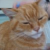 jessica.hendy profile image