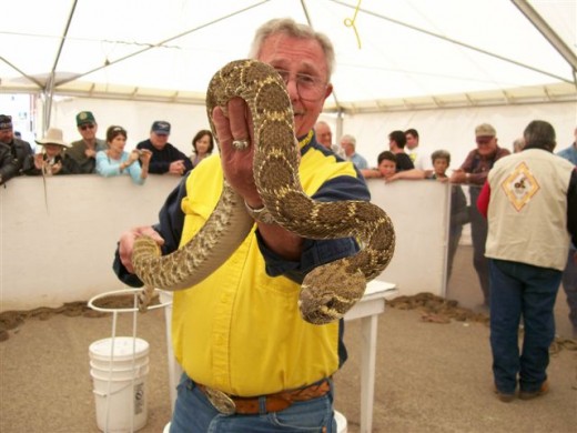 Showing off a prize snake.