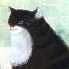 Charlie Killick profile image