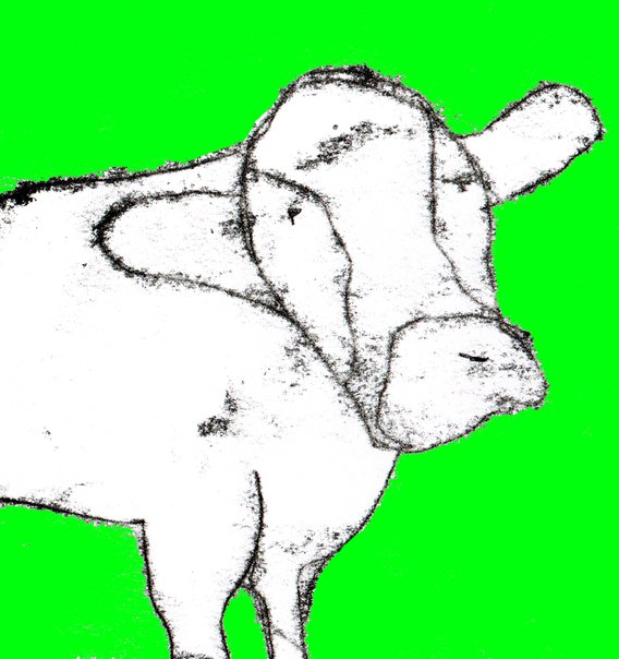 HubPages profile picture for @samuel