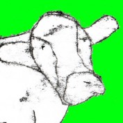__samuel__ profile image