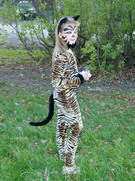 Homemade Halloween cat costume and makeup.