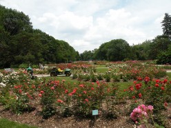 Walk With a Doc at Whetstone Park, Columbus OH