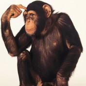 Investor_Teacher profile image