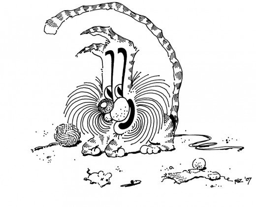 Goofy Big-Whiskered Cat, rickzimmerman 2010