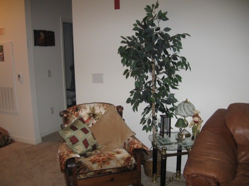 Living room tree