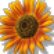 lini0924 profile image