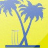 Island Cricket profile image